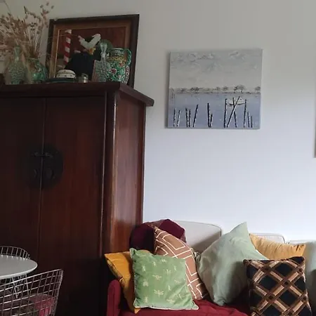 Daire Appartement Arcachon