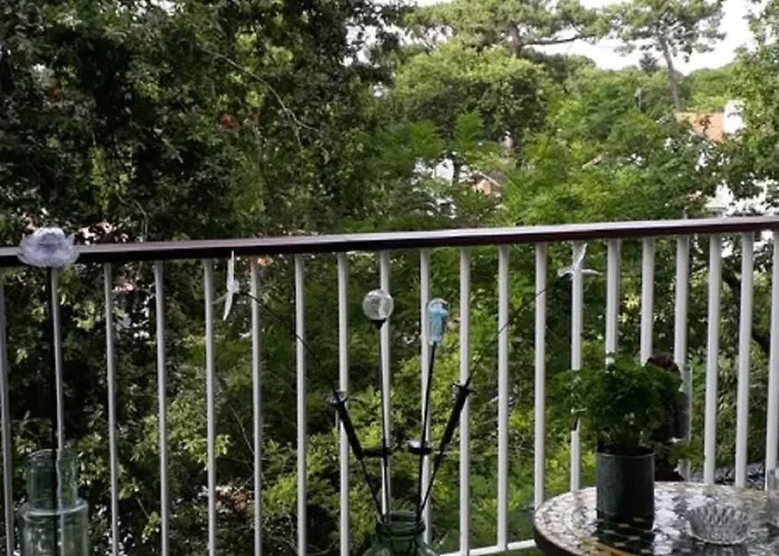 Daire Appartement Arcachon