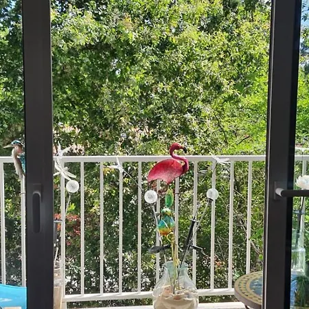 Appartement Arcachon *